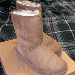Uggs w/ Ugg cleaning kit included!